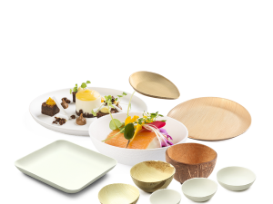 Plates & Bowls Food Service