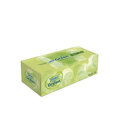 Hand Towels 2Ply Green